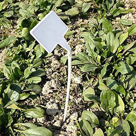 30 pcs étanche réutilisable en plastique Plante étiquettes blanc Jardin étiquettes Tags marqueurs T-type courbé
