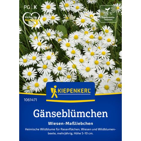 Kiepenkerl Saatgut Gänseblümchen Wiesen-Maßliebchen für ca. 3-5 m² (1/2)