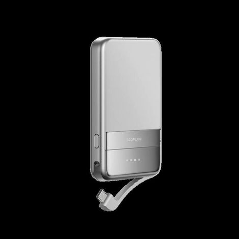 EcoFlow EF-RAPID5000-EU batteria portatile Ioni di Litio 5000 mAh Carica wireless Argento