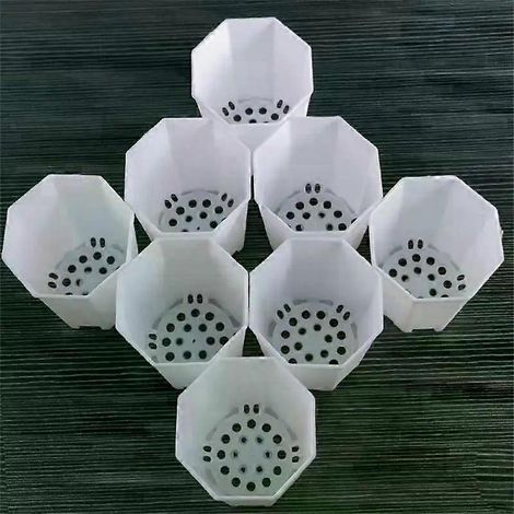 Pot de fleurs octogonal minimaliste en plastique résistant, petit, avec soucoupe, blanc, pour plantes charnues en pot. (1/4)