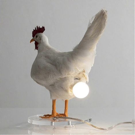 Lampe de nuit LED en forme d'œuf de poule, lampe de bureau en forme d'œuf naturalisé de haute qualité (1/5)