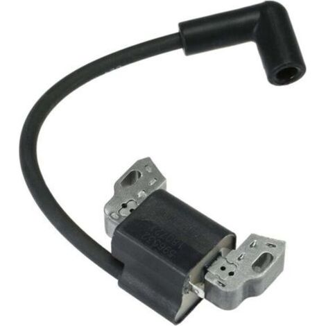 Jeu de bobines d'allumage Pièces détachées avec bouchon pour Briggs & Stratton 799582 798534 593872 595009 596532 Moteurs