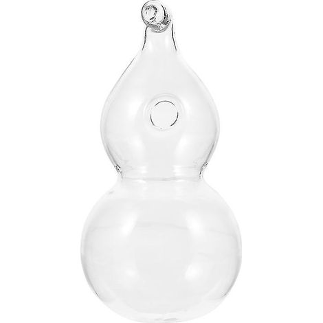 1 vase suspendu hydroponique pour la maison (1/3)