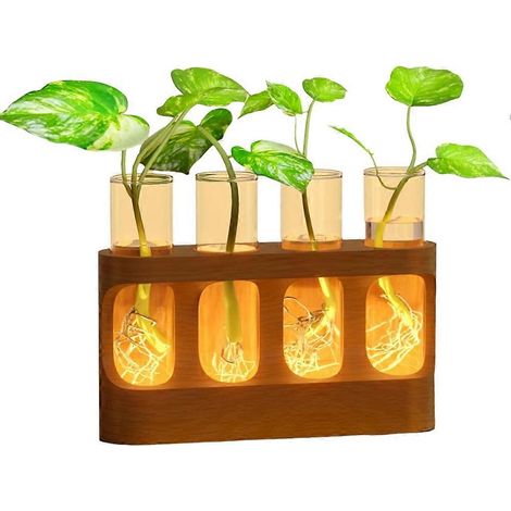 Station de multiplication des plantes avec éclairage LED à 9 vitesses réglables, terrarium pour plantes avec support en bois, 4 vases pour tubes à essai (1/5)