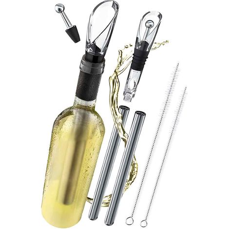 Weinkühlerstange aus Edelstahl mit Ausgießer: Das ideale Geschenk für Weinliebhaber Weinkühler-Set für Weiß- und Rotwein (1/5)