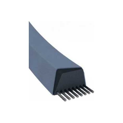 Courroie tondeuse SPZ800 trapézoïdale  9,7 x 813 mm (1/5)