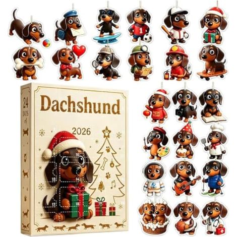Calendrier de l'Avent de Noël teckel 24 jours compte à rebours pour chien (1/5)
