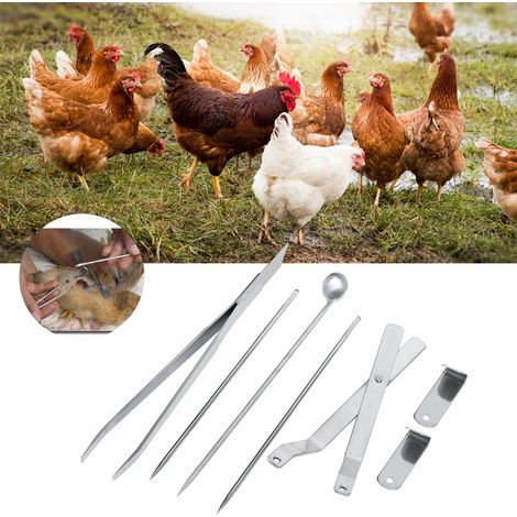 Kit de couteau à chapon en acier inoxydable pour volaille, instrument vétérinaire pour poulets (1/5)