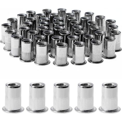 100 Pièces Rivet Ecrou M8, Écrous à Rivets en Acier Inox, Assortiment M8 Ecrou Insert Filetés Tête Plate pour Métal Plastique (14 mm x 18 mm) (1/5)