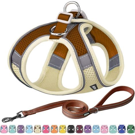 Ensemble Harnais et Laisse Anti-Traction pour Chien, Harnais réglable avec Gilet rembourré pour Tous Les Temps, Laisse pour Chien avec poignée rembourrée Douce, Facile à Mettre sur Les Chiens (1/5)