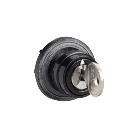 Testa Commutatore Ø29Mm Plastica Ghiera Cromata Leva Nera Chiave Ronis 8R1
