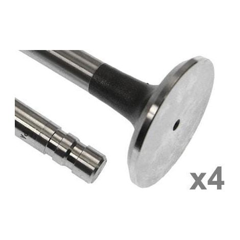 Soupape d'échappement VAPORMATIC VPA1501