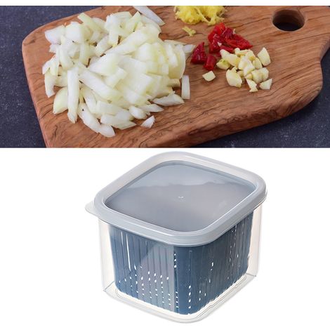 Aufbewahrungsbox für Gemüse und Obst mit 2 Fächern, Deckel, Organizer für Zwiebeln, Ingwer, Knoblauch, blau, für den Kühlschrank
