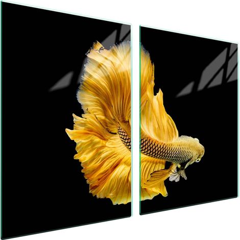 Plaque de protection en verre pour poêle 2x45x52 Poisson (1/5)