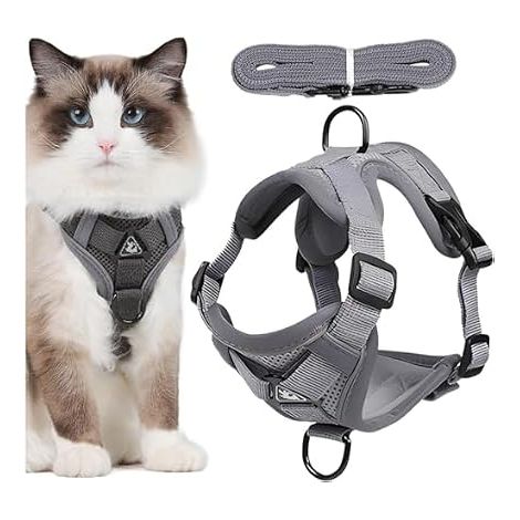 Cat Harness with Escape Lead, Adjustable with Reflective Strips