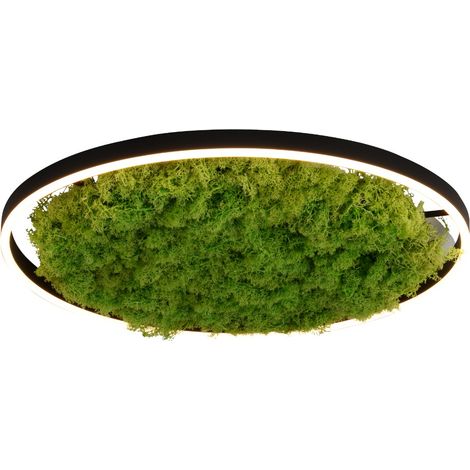 Plafoniera rotonda 58,5cm LED 28W muschio Ritus Leuchten