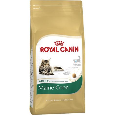 Pienso ROYAL CANIN MAINE COON para gatos adultos - 4Kg (1/4)