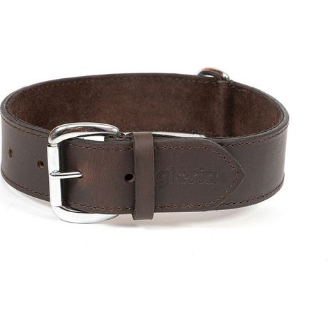 Collare per Cani Gloria Marrone 75 cm (75 x 4 cm) (1/5)