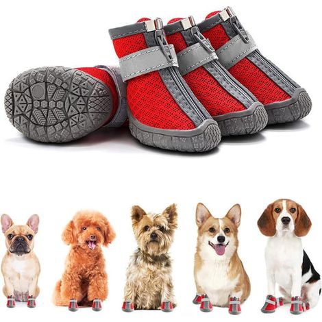 Chaussures pour petits chiens, bottes respirantes pour chiens pour routes chaudes/neige hivernale, bandes réfléchissantes, semelles antidérapantes, pour sols en bois/extérieur, rouges, taille 1. (1/4)