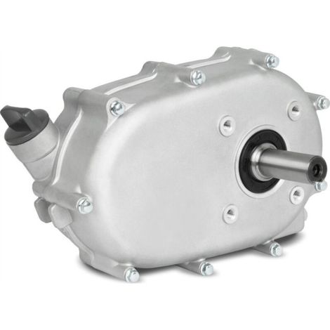 Boîte de vitesses à réduction 2:1 avec embrayage, moteur 4 temps (1/5)