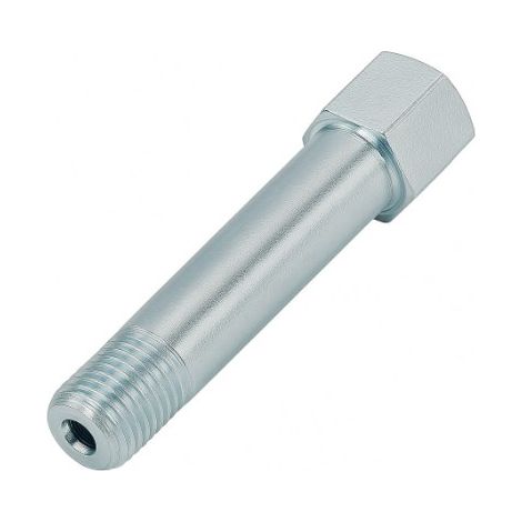 Adattatore dritto GZ M10x1 / M10x1 GW L50 (1/3)