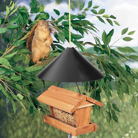 Mangeoire anti-écureuil professionnelle en acier galvanisé noir, barrière dissuasive pour oiseaux, prévention du vol de nourriture (1/5)