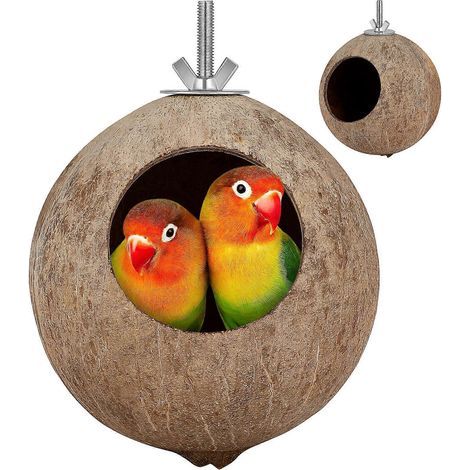 POPETPOP Vogelnest aus Kokosnussschalen, ideal für Hamster und Eichhörnchen. Zarte Gartendekoration. (1/4)