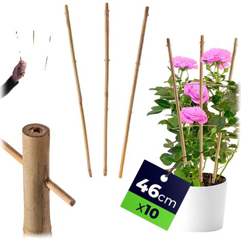 Support d'échelle en bambou, 46 cm, 10 pièces, adapté à diverses plantes, construction durable, améliore l'esthétique du jardin (1/5)