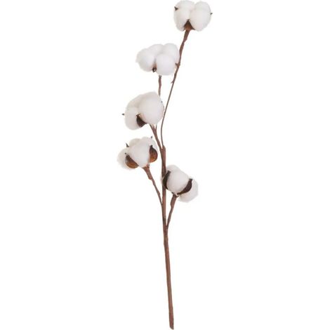 Branche de coton naturelle décorative 10x10x55cm (1/3)