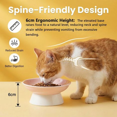 Gamelles surélevées pour chats — Gamelles en céramique pour nourriture et eau. Dotées d'un design incliné pour soutenir la colonne vertébrale et minimiser les renversements. (1/5)