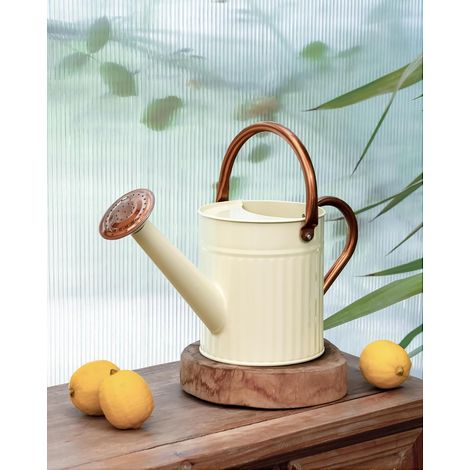 Arrosoir d'intérieur en Acier Inoxydable pour intérieur et extérieur - Long Bec - pour arroser Les Plantes - 1,2 l - Blanc crème