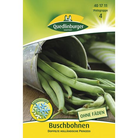 Quedlinburger Buschbohnen Doppelte holländische Prinzess - Gemüsesamen (1/2)