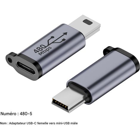 Adaptateur USB Type-C femelle vers Mini USB mâle, convertisseur de connexion pour appareils numériques, câble adaptateur compact de transfert et recharge, 1 pièce (1/3)
