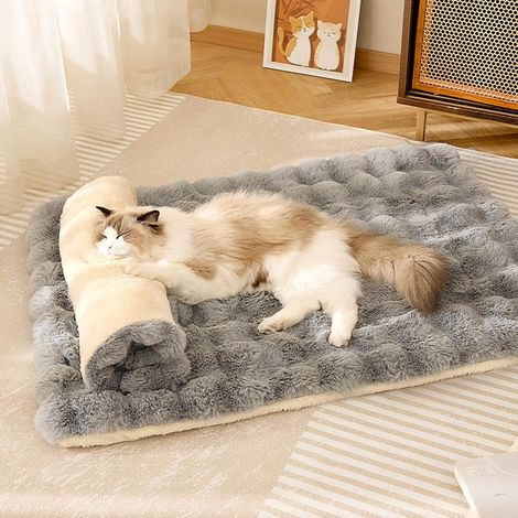 Matelas Chien Chat - 60x40cm Lavable Hiver Doux - Pour Intérieur Petit Animal Confort Froid (1/5)