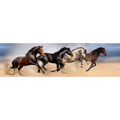 Frise auto collante 4 chevaux qui galopent et sautent sur le sable -1 rouleau (1/5)