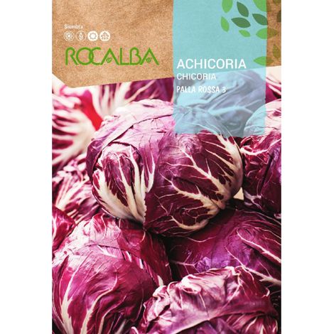 Rokalba Achicoria Palla Rossa 3 10g