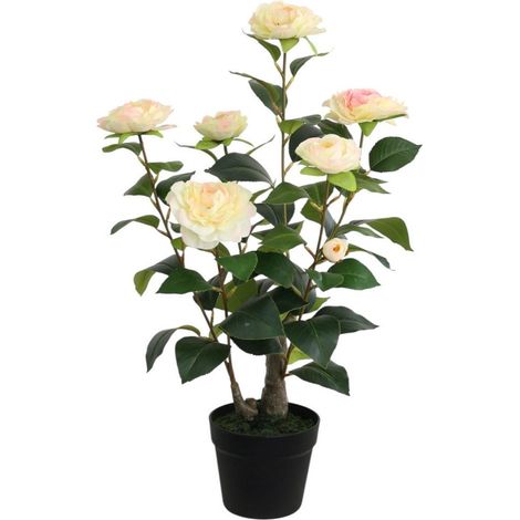 Artificial Camellia Plant - L50 x W50 x H58 cm