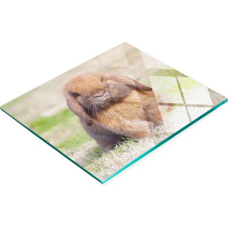 Dekoratives Schneide- und Servierbrett aus Glas, Motiv: Süßer Hase, 60 x 52 cm (1/5)