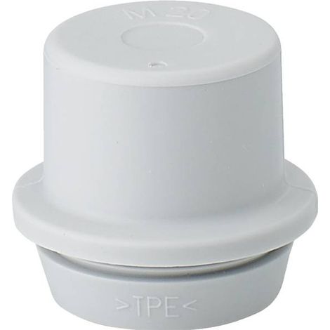 Hensel 3600181 (Ø) 20.5 mm 1 pc(s)
