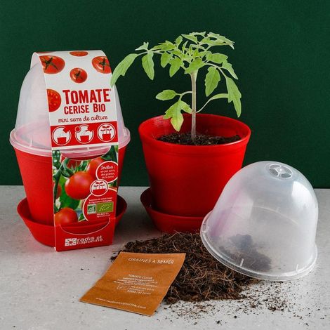 Pot en cloche - Tomate cerise (1/5)