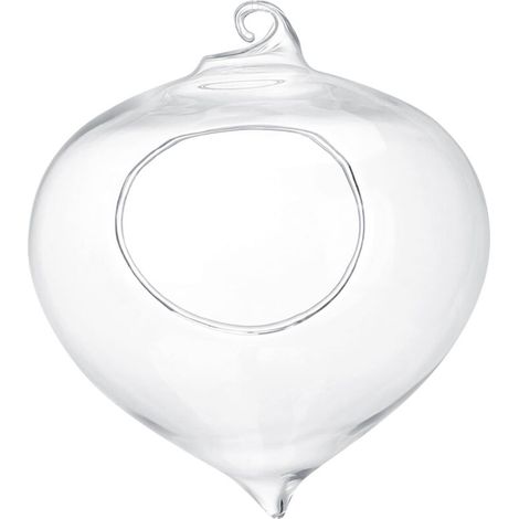 Pot de fleurs pour plantes succulentes, vase en verre suspendu, décoration de jardin pour la maison (1/5)
