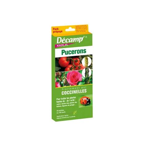 Pack de coccinelles 20 adultes – Insectes auxiliaires pour lutte biologique contre pucerons – Protection arbres et arbustes jusqu'à 1,50 m – Fabre Graines