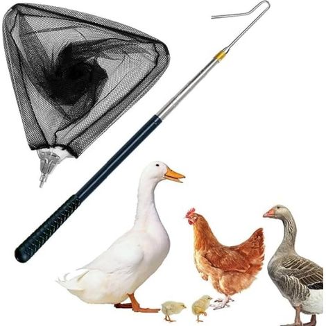 Kit 2 en 1 avec crochets et filet de pêche rétractables pour volailles, crochets en acier inoxydable, pour volaille, poulet, dinde, oie, canard, oiseaux, petits animaux et poissons (1/5)