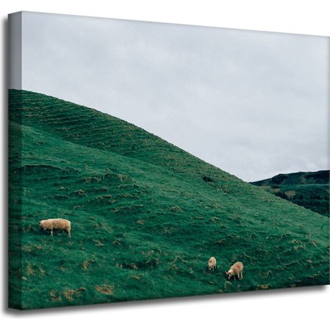 Leinwanddruck Naturweide in den Bergen 50x40