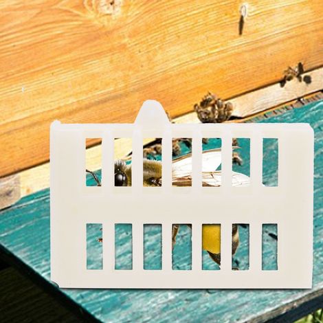 100 Stück Imkerbedarf, Bienenkäfige aus Kunststoff, Nützlingsbecher, Bienenkäfige für die Königin, Bienenhäuser (1/5)