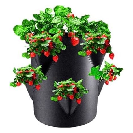 Pflanztöpfe für Erdbeeren im Freien mit 6 Seitentaschen, 20-Liter-Gartentöpfe, tragbar, atmungsaktiv, aus Vliesstoff, für - (1/5)