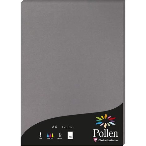 Etui - CLAIREFONTAINE - Pollen - 210x297mm - Gris acier - 120g - 50F (1/2)
