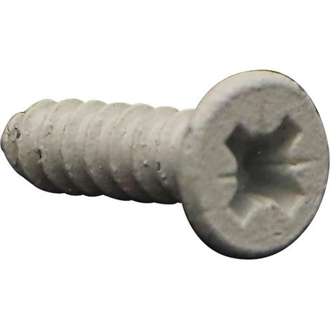 Vis tôle Tête fraisée Pozi 3.9X16 Acier zingué Laqué blanc RAL9010 blanc pur-1 pièce
