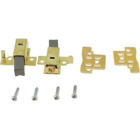 Charbons moteur par 2, 2610398705 - ponceuse skil