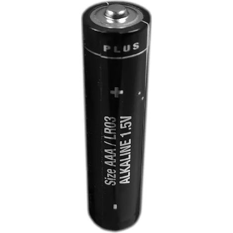 Pile alcaline AAA (LR03) professionnelle